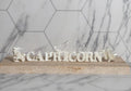 Capricorn Loc Beads