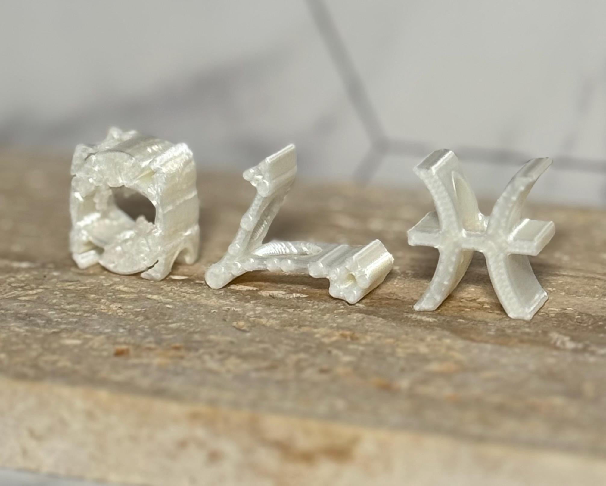Pisces Loc Beads