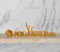 Aquarius Loc Beads